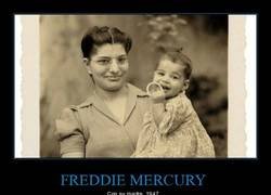 Enlace a El jovencísimo Freddie