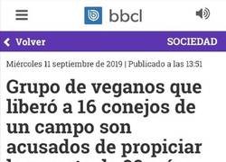 Enlace a Cuando no mides las consecuencias de tus actos