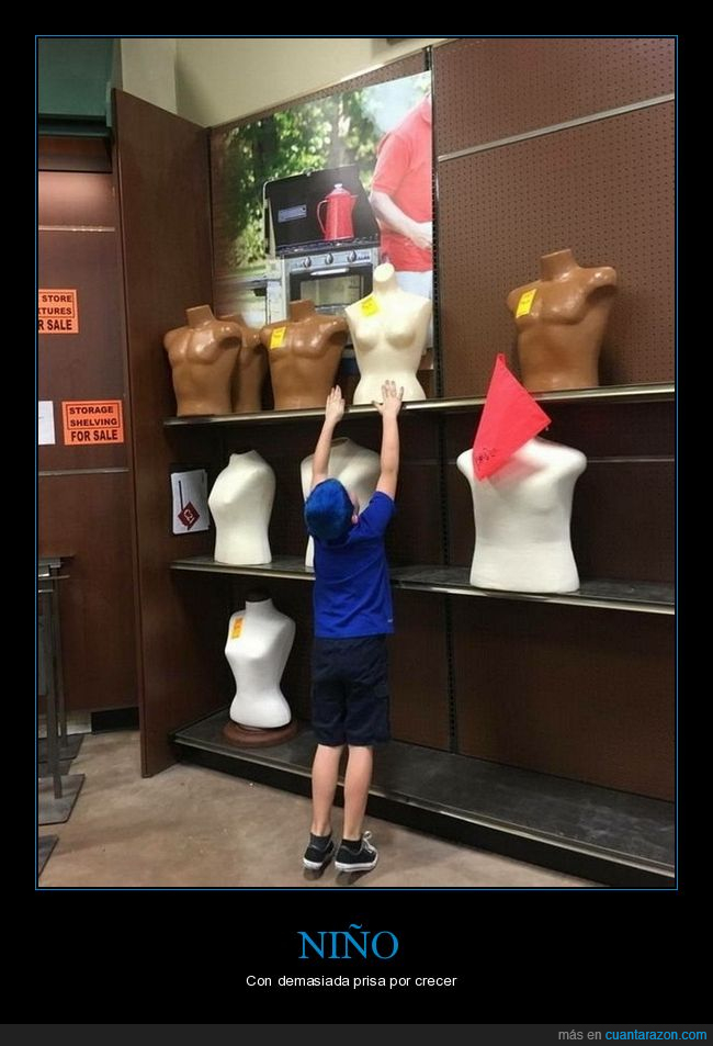 busto,tienda,niño,intentando,tocar
