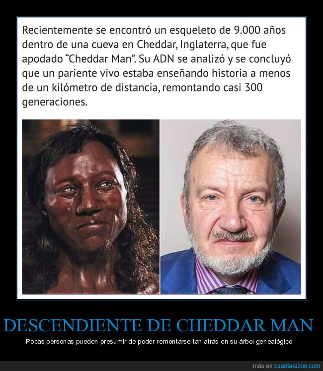 cheddar man,esqueleto,adn,pariente