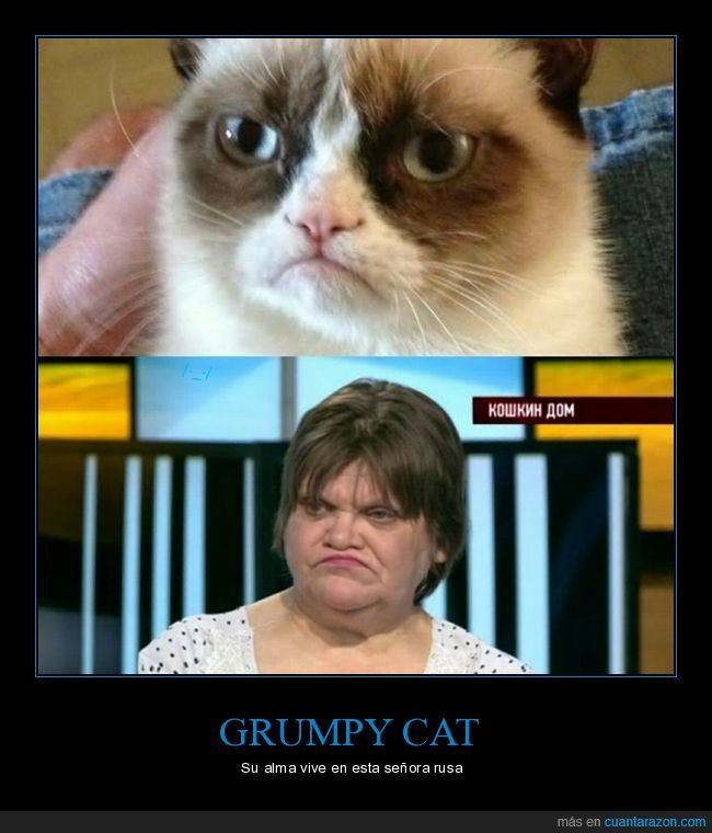 grumpy cat,señora,rusa,parecidos