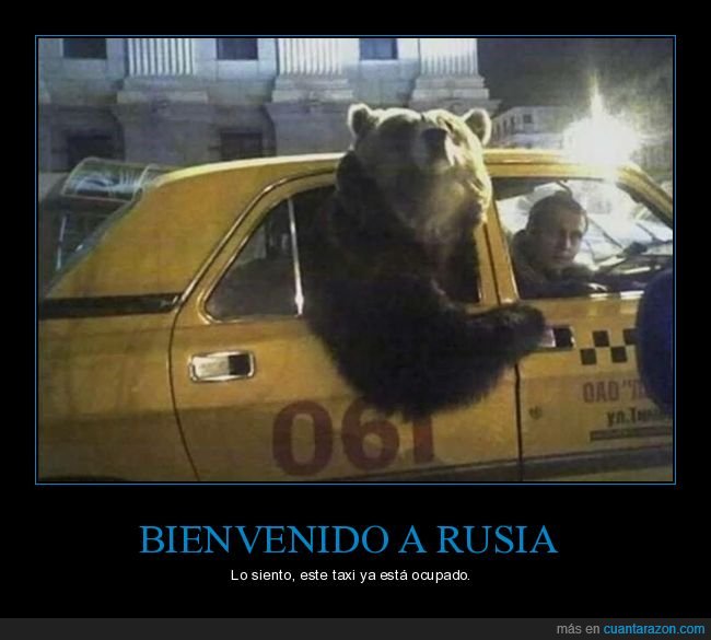 taxi,oso,rusos