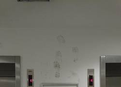 Enlace a Hay un claro ganador