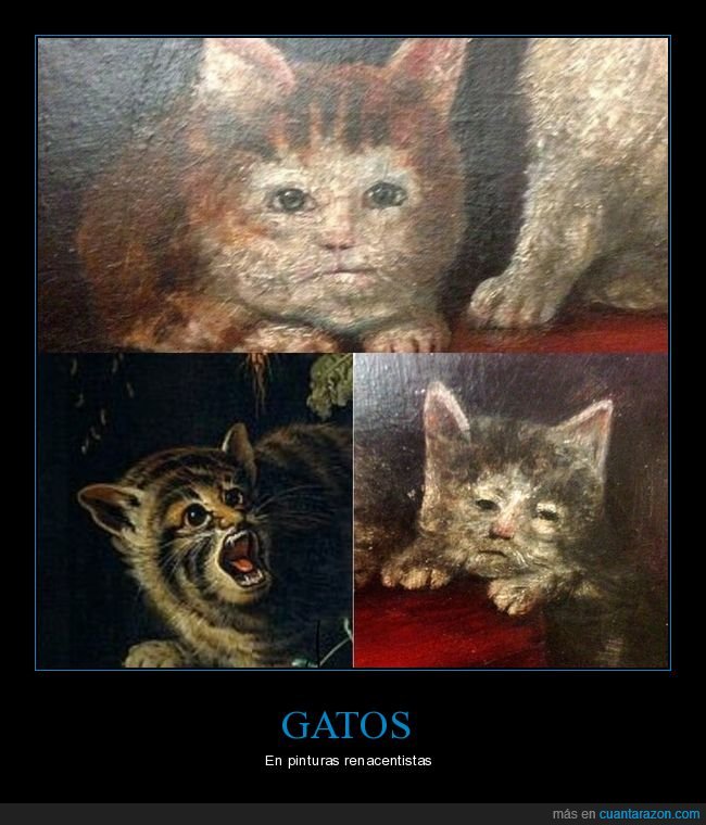 gatos,pinturas,renacentistas,caras,arte