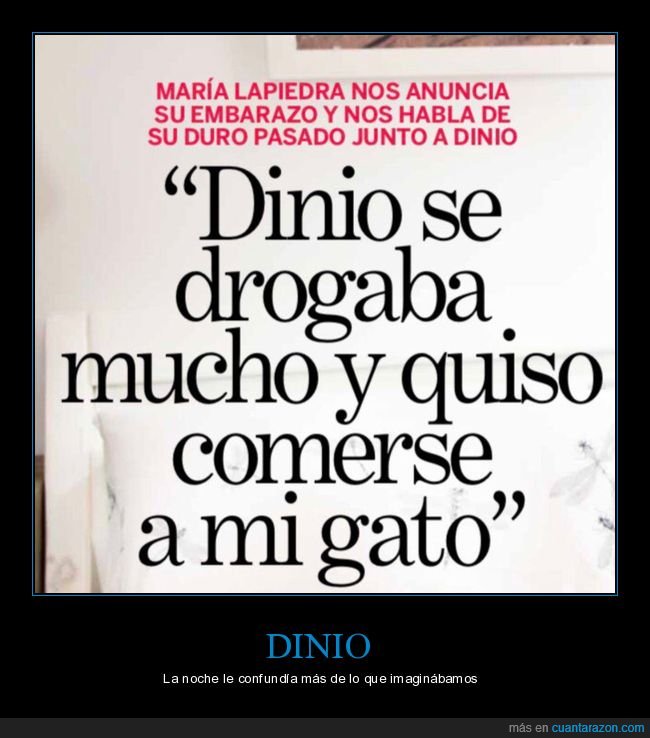 dinio,drogarse,comer,gato,wtf