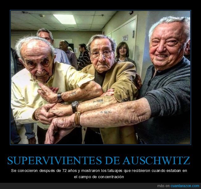 supervivientes,auschwitz,tatuajes,campo de concentración