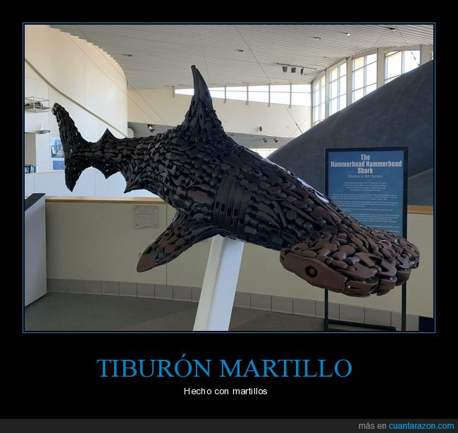 tiburón martillo,martillos,escultura