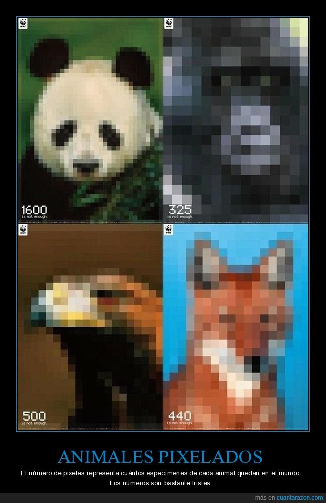 animales,pixelados,píxeles,extinción