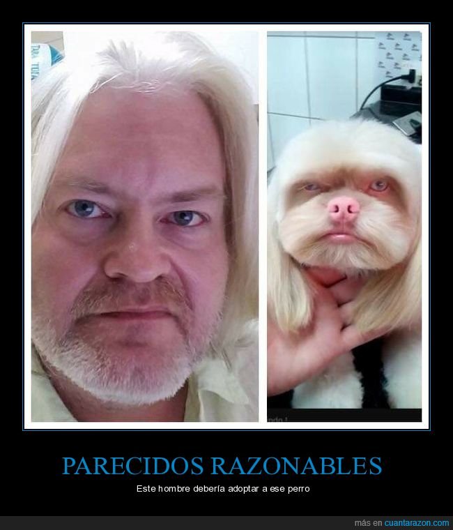 parecidos,perros,pelo