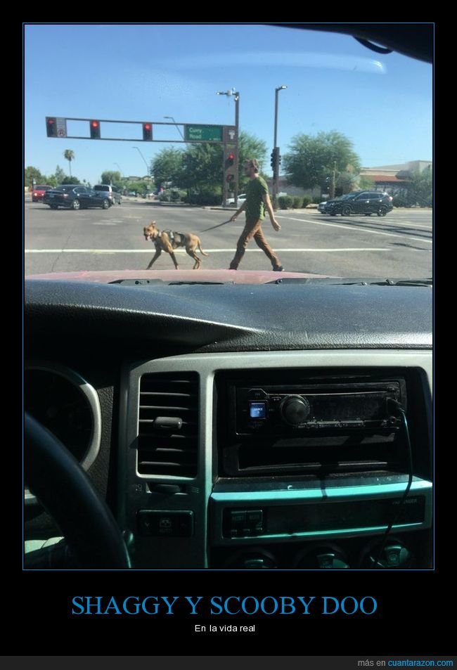 shaggy,scooby doo,parecidos