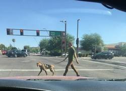 Enlace a ¡Son ellos!