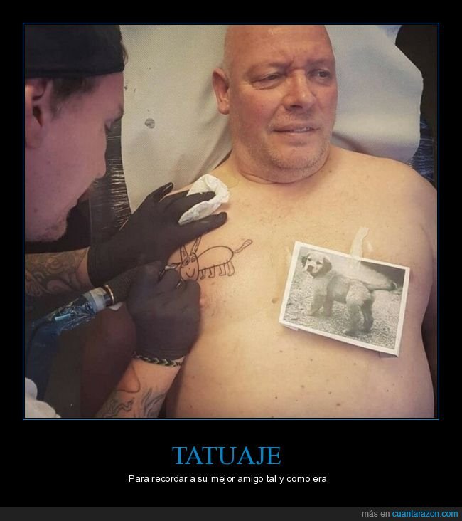 perros,tatuaje,fails