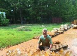 Enlace a El cuarzo de su jubilación