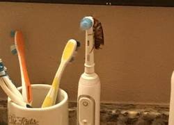 Enlace a Vas al baño por la noche y...