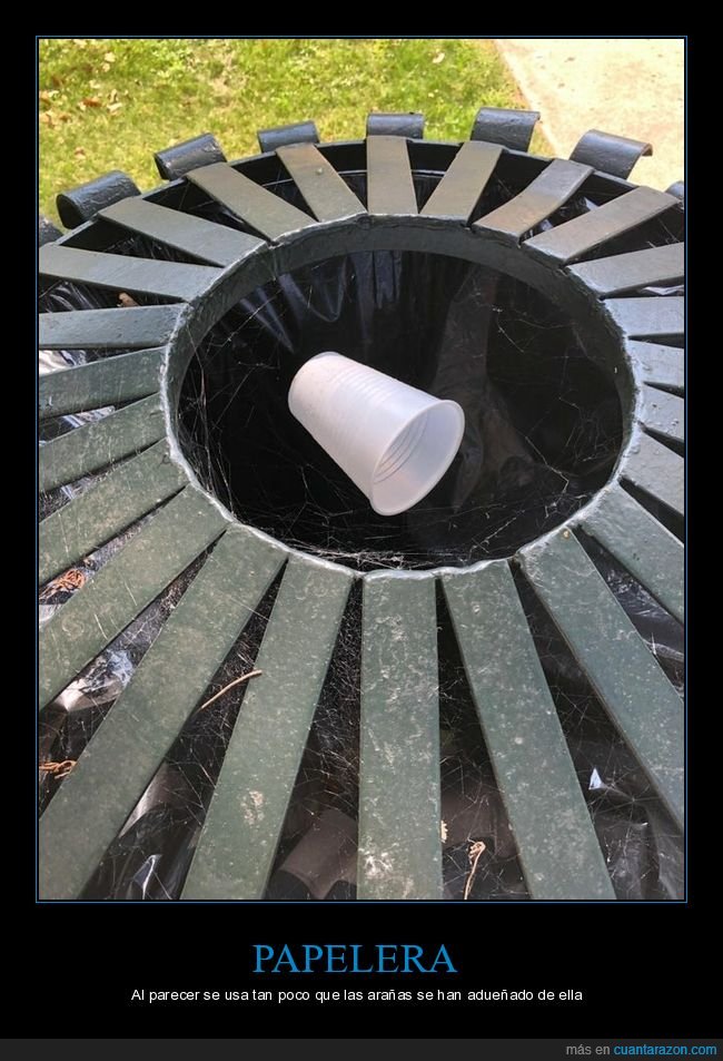 papelera,telara&ntilde;a,vaso