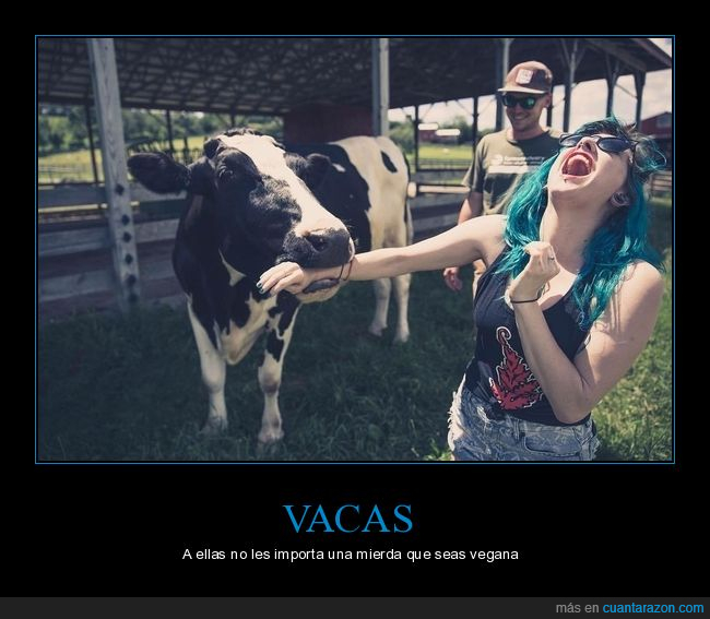 vaca,mordiendo,mordisco,wtf