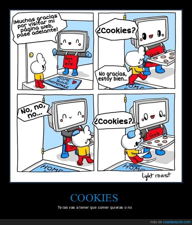 página,web,cookies