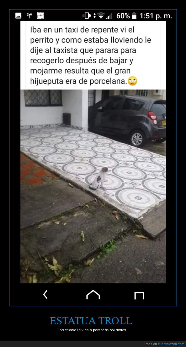 taxi,perro,lloviendo,recoger,porcelana