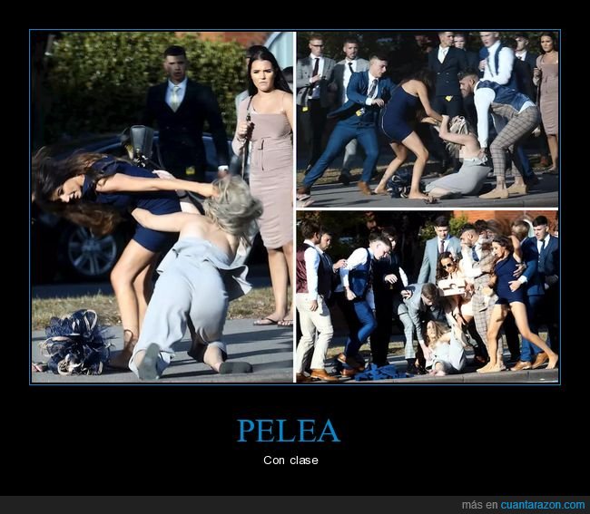 pelea,mujeres,elegantes