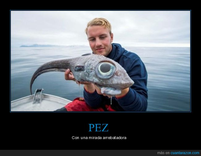 pez,ojo,wtf