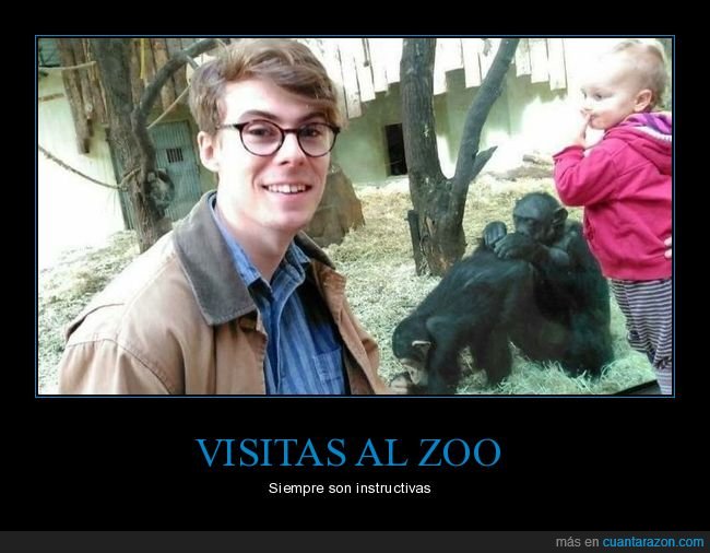 zoo,monos,niño