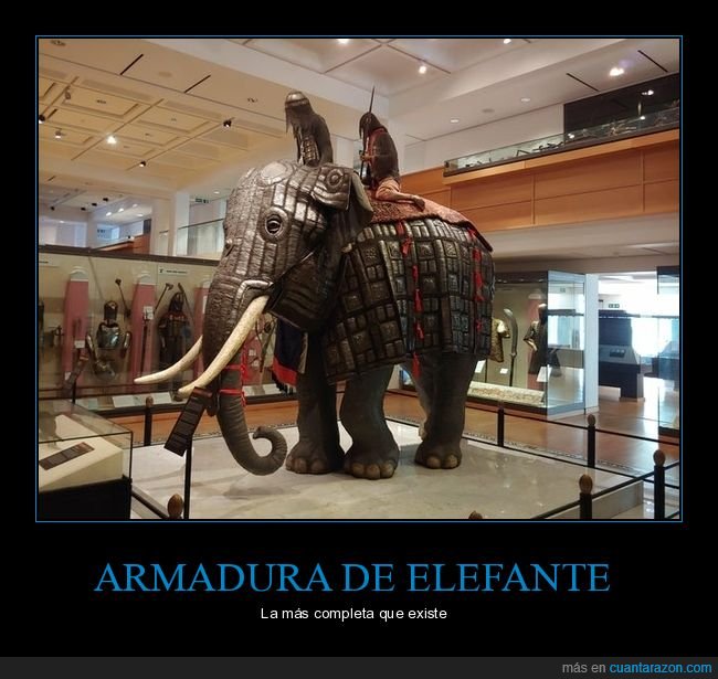 armadura,elefante,completa