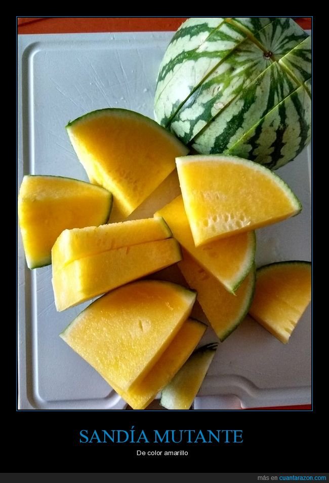 sand&iacute;a,mutante,amarilla