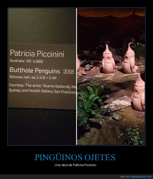 pingüinos,ojetes,arte,wtf