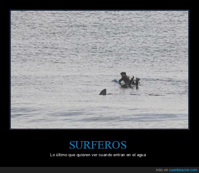 surfero,mar,aleta,wtf