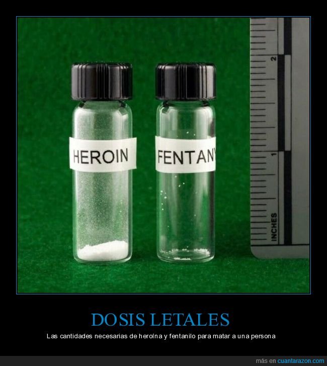 dosis,letales,drogas