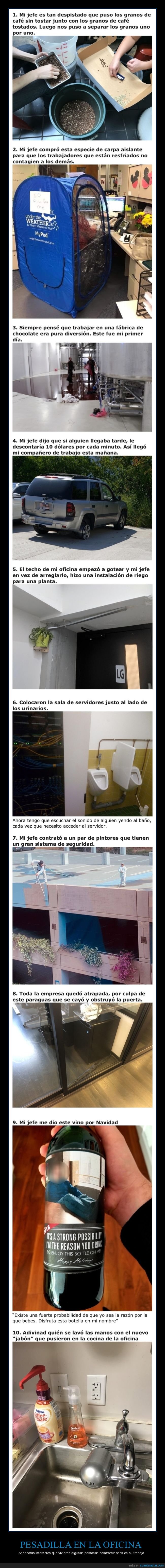 oficina,trabajo,anécdotas