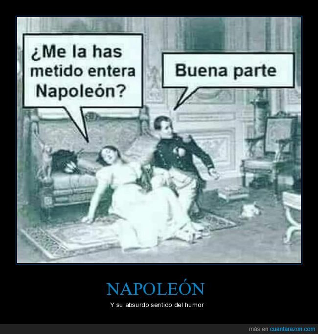 napoleón,meter,entera,buena parte,bonaparte