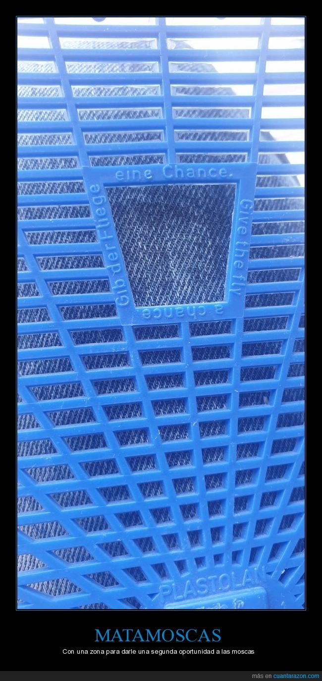 matamoscas,matar,moscas,oportunidad