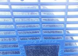 Enlace a Las moscas también merecen una oportunidad