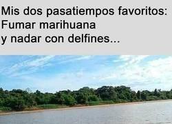 Enlace a Disfrutando de sus hobbies