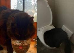 Enlace a Tiene un problema con la bebida