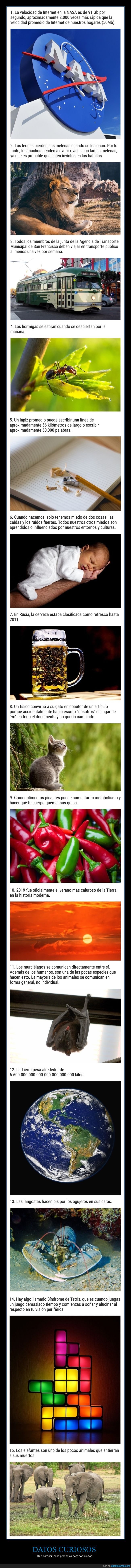 datos interesantes,curiosidades