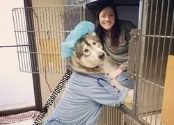 Enlace a Todo un profesional