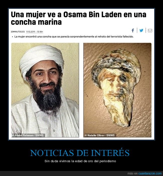 osama bin laden,concha marina,parecidos