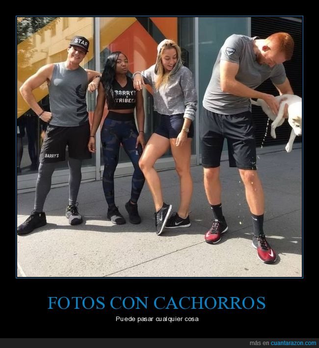 foto,cachorro,perro,meada