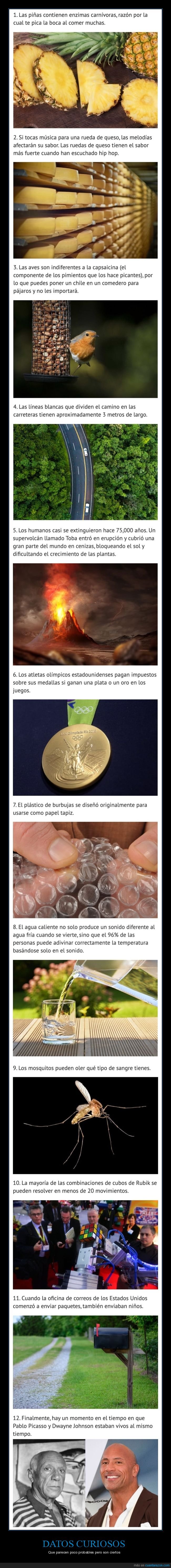 datos interesantes,curiosidades