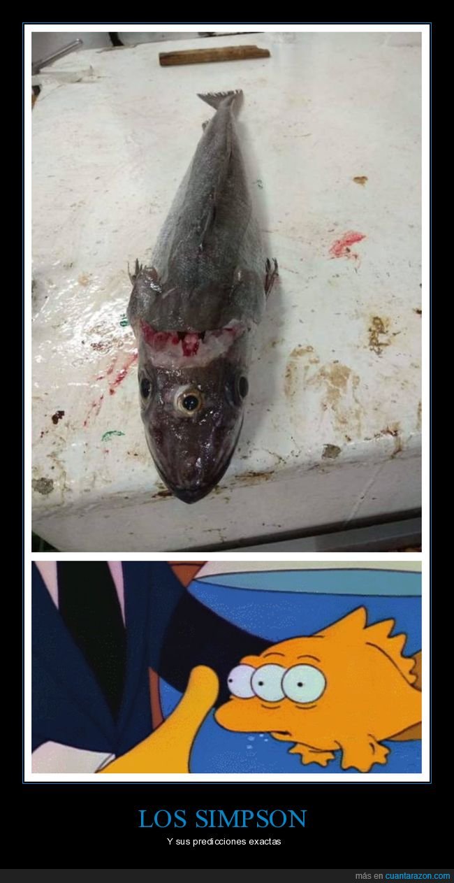 pez,ojos,wtf,sipsons