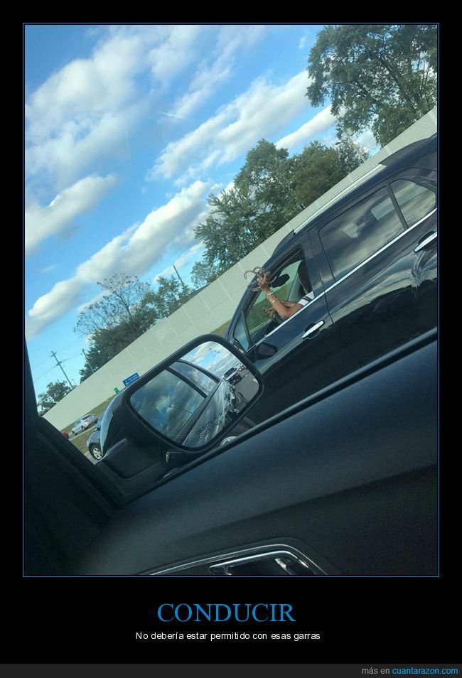 coche,conduciendo,uñas,wtf