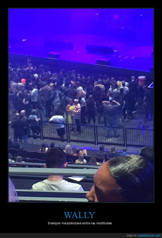 wally,concierto
