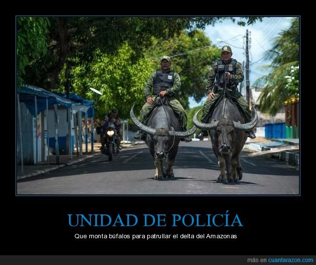 policía,búfal0s,wtf