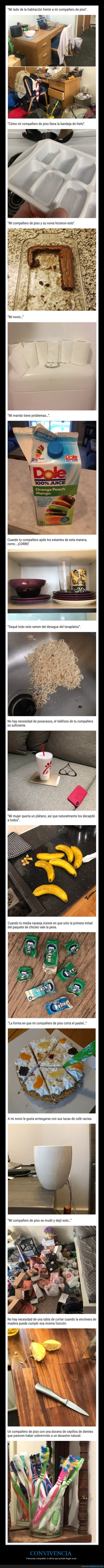 convivencia,compañeros de piso,parejas