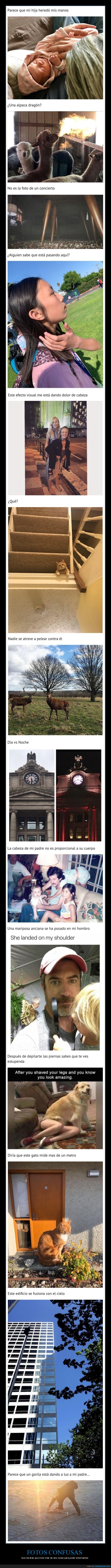 mindfuck,fotos confusas,wtf