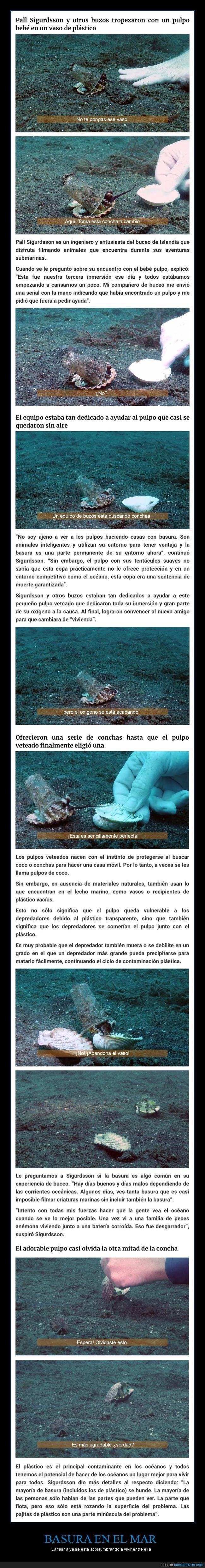 pulpó,vaso,concha,basura,mar