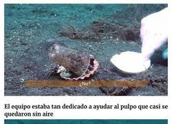 Enlace a Buzo convence a un pulpo bebé para que abandone su vaso de plástico y lo cambie por una concha