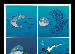 Enlace a Pez grande vs Peces pequeños